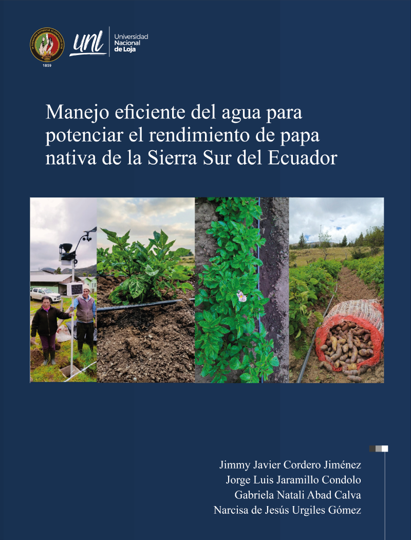 Manejo eficiente del agua para potenciar el rendimiento de papa nativa de la Sierra Sur del Ecuador